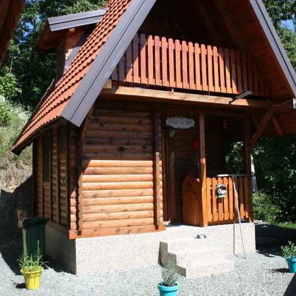 Seoski Turizam Feniks - apartman Ostrog, hotel a Kosjerić