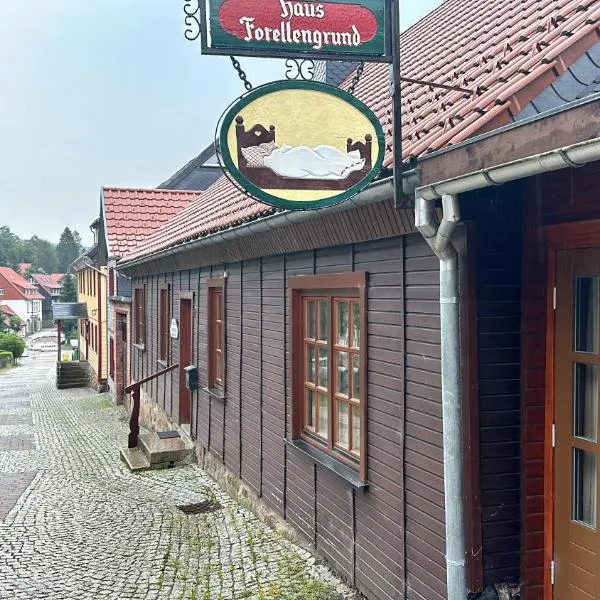 Ferienwohnungen Forellengrund Schierke, hotel in Schierke