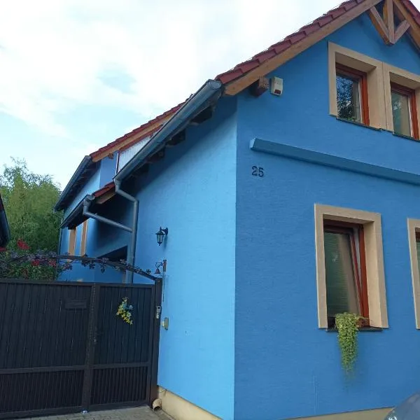 Izba v Modrom Dome, hotel v destinaci Limbach
