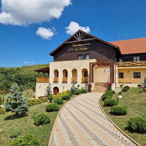 Pensiunea La Conac, hotel v destinaci Săliştea Veche