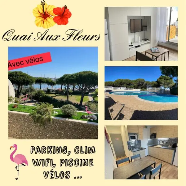 Studio vue port, belle terrasse, piscine, hôtel au Grau-du-Roi