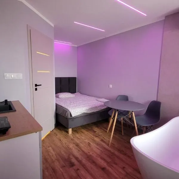 Wrzosowe Wzgórze - Małe Studio z Wanną w Pokoju, hotel in Chęciny