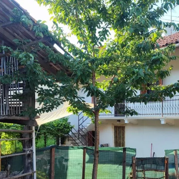 La casa nel bosco, hotel Torrazzo városában