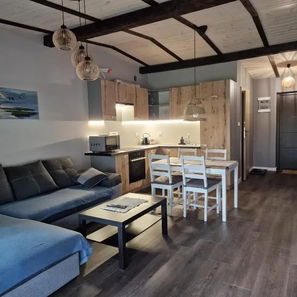 Apartament Sosny 2,3 nad jeziorem OTW Borówno Wielkie, hotel v destinaci Skarszewy