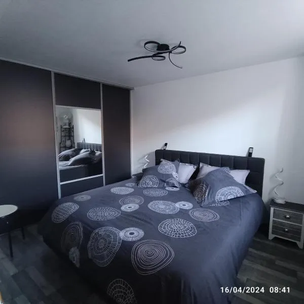 Superbe appartement F3 situé au centre ville, hotel in La Charité-sur-Loire