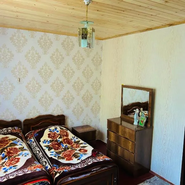 Vaso's Guesthouse, ξενοδοχείο σε Katsʼkhi