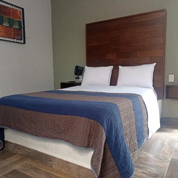 Hotel Dalia, hotel in León