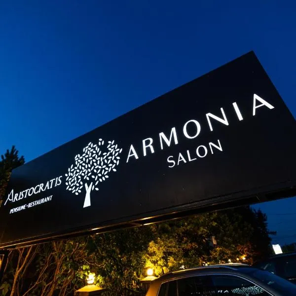 Armonia by Aristocratis、トゥルグ・ネアムツのホテル