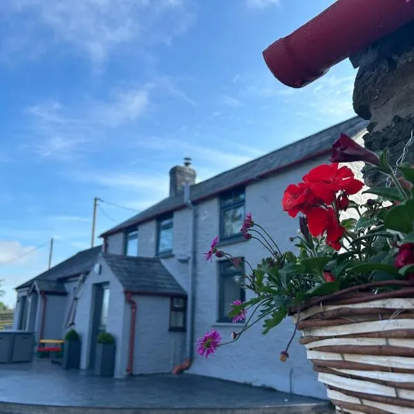 Cosy countryside cottage, khách sạn ở Aberystwyth