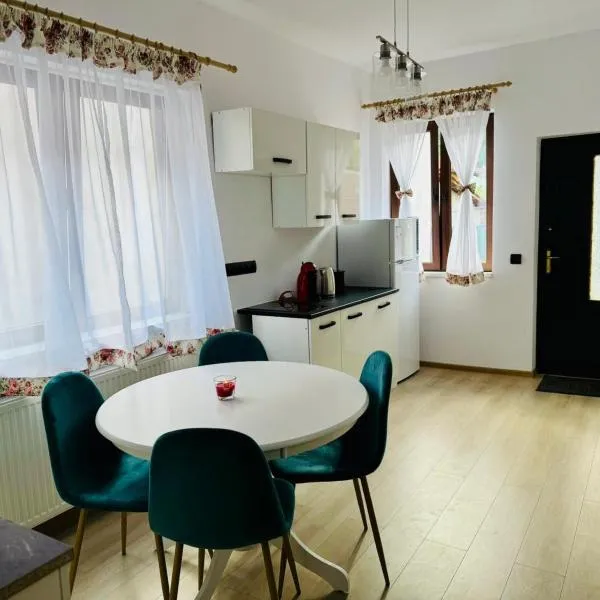 Maria Studio And Apartment, hotel in Sighişoara