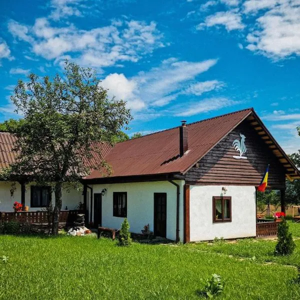 Pensiunea Cocoș, hotel in Spulber