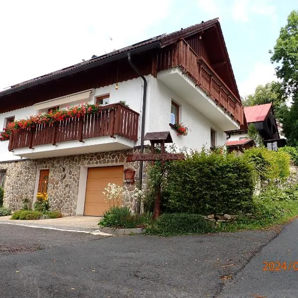 Apartmány Fischer, Hotel in Železná Ruda
