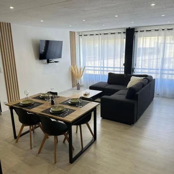 Grand appartement Roanne centre, hotel v destinácii Roanne
