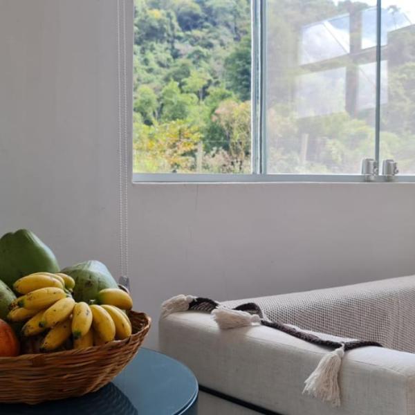 Loft com piscina natural em Cachoeiras de Macacu - Foto 4