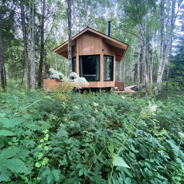 Paunküla Nature Resort (forest villa), hotell i Ardu