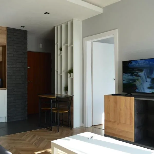 Apartment Sosnowiec City - FREE PARKING - easy check-in, hotel v destinaci Sosnovec