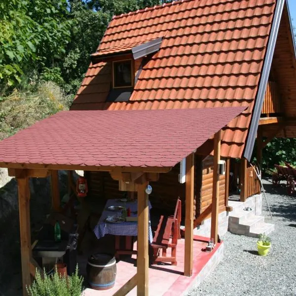Seoski Turizam Feniks apartman Davidovi Psalmi, hotel v destinácii Kosjeric