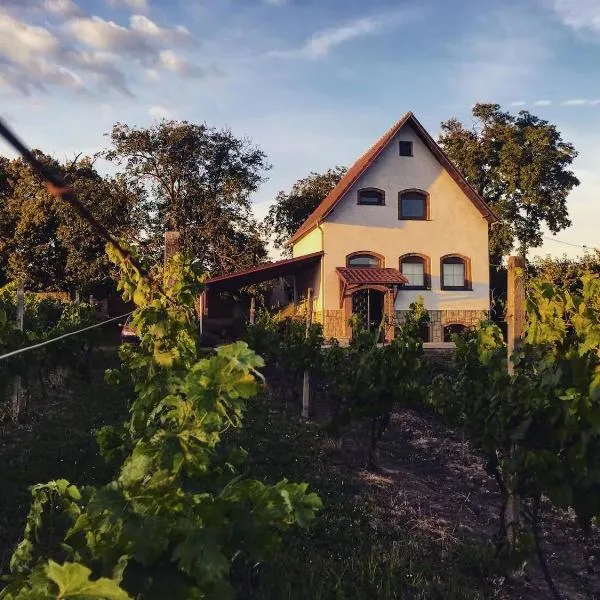 Ubytování ve vinném sklepě - Velké Bílovice, hotel ve Velkých Bílovicích