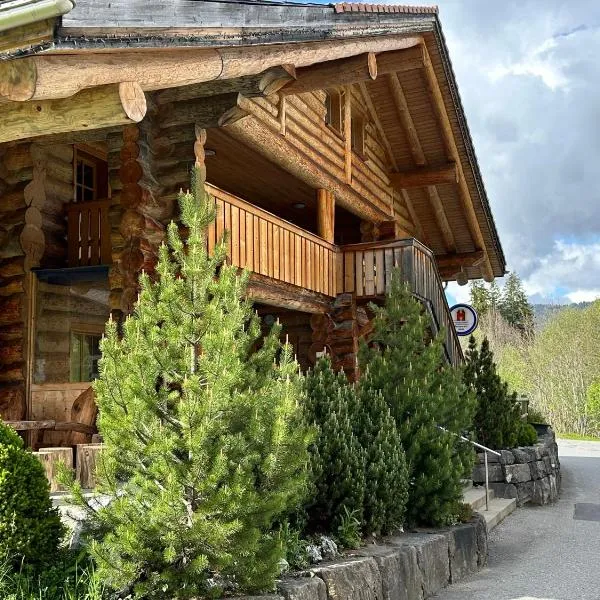 Standard 4 - Heiti Lodge, hotel v destinaci Gsteig