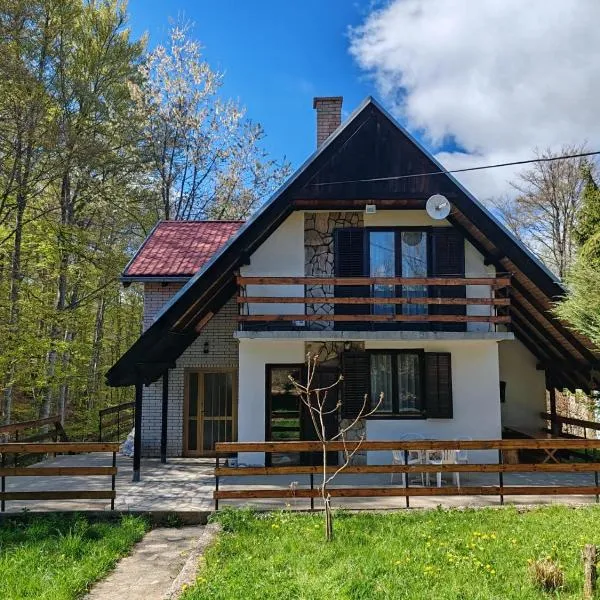 Vlasinsko jezero vila BiLiV, hotel in Surdulica