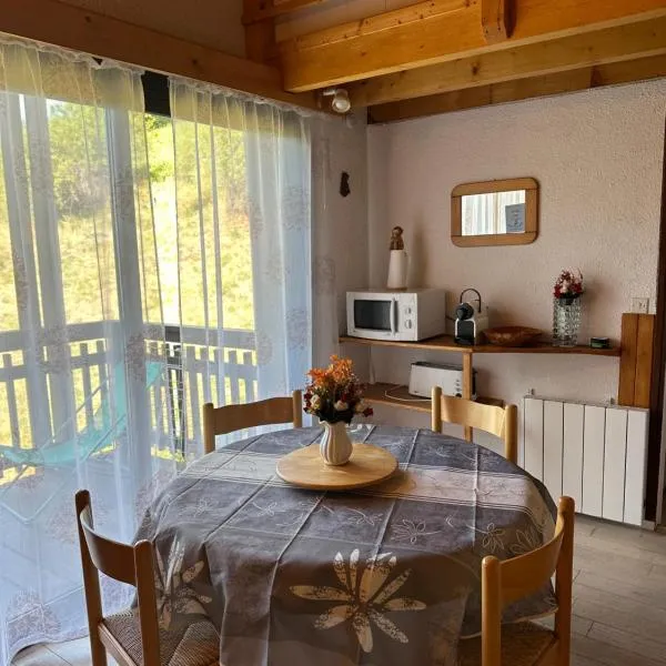 Duplex avec belle terrasse au pied des pistes – hotel w mieście Vars
