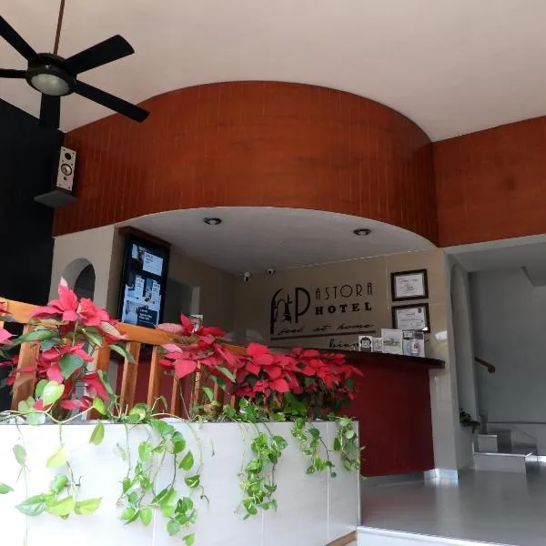 Hotel Pastora, hotel v destinaci Córdoba