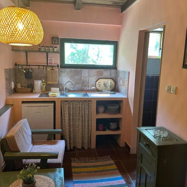 Guest house Pikec, hotel v destinaci Bezdan