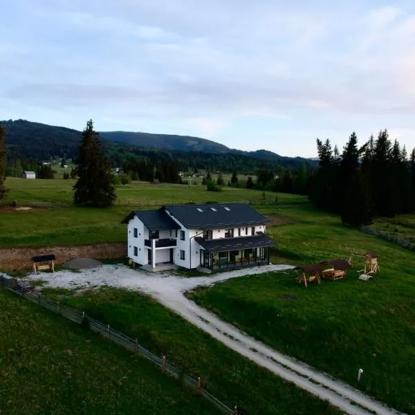 Vila Dorna Royal, hótel í Şarul Dornei