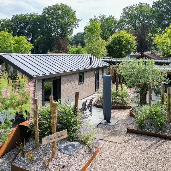 Modern ingericht chalet op groen park op de Veluwe, viešbutis mieste Epė