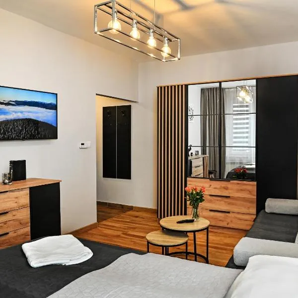Apartament City Sanok, hotel v destinaci Sanok