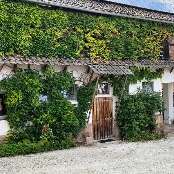 Kleine Wohnung auf dem Land, hotel in Eichenberg