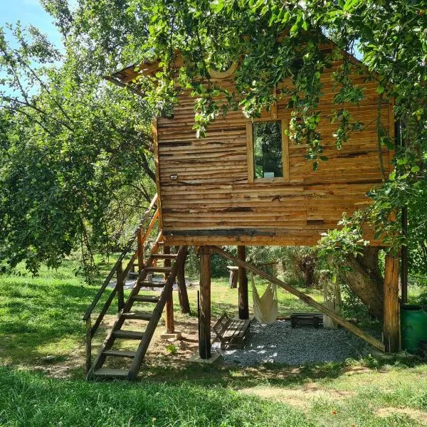 Apple Tree Cabin (Friendship Land), hotel v destinaci Şelari