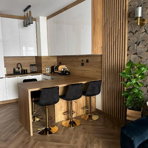 Apartamenty Termal Water Długa 30, hotel v destinácii Uniejów