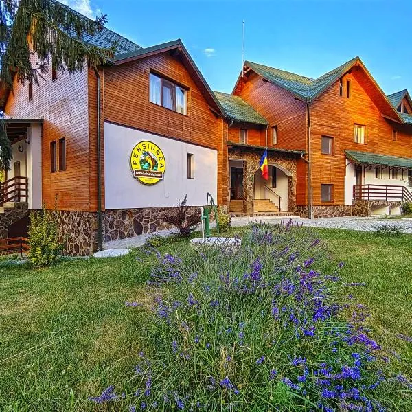 Pensiunea Pastravaria Vistisoara, hotel v destinaci Vistisoara