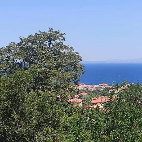 Studios Akrotiri, hotel v destinaci Mytiléna