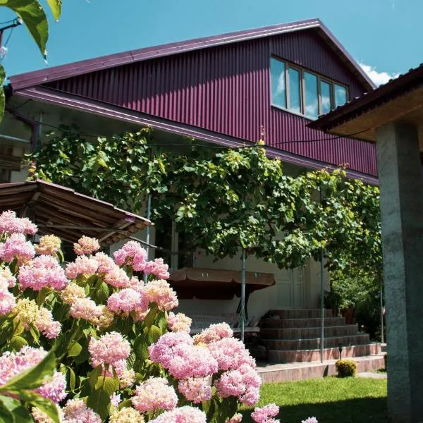Guest House Melissa, hotel in Duisi