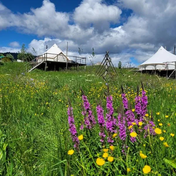Nucsoara Glamping Cozy、Nucşoaraのホテル