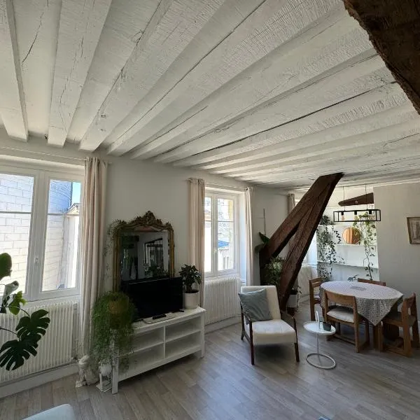 Appartement central - ORLEANS, ξενοδοχείο στην Ορλεάνη