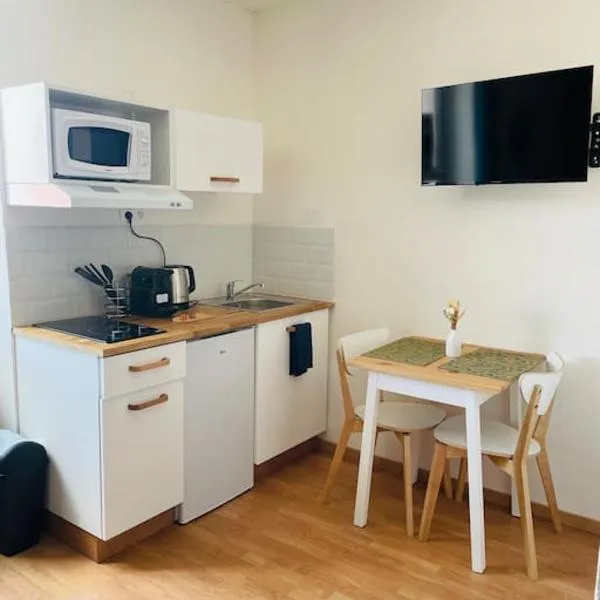 Studio Charles de Gaulle V, hotel in Castres