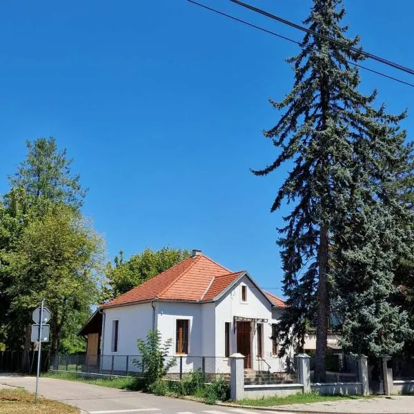 Bela Vila, hotel v destinaci Banja Koviljača
