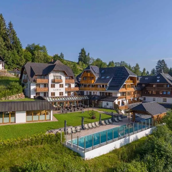 Hotel Schlehdorn, hotel en Feldberg