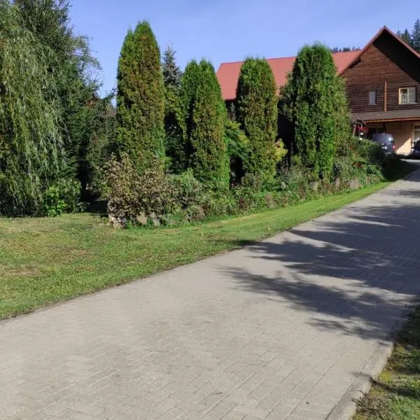 Pensiunea Emilia, hotel v destinaci Suceviţa