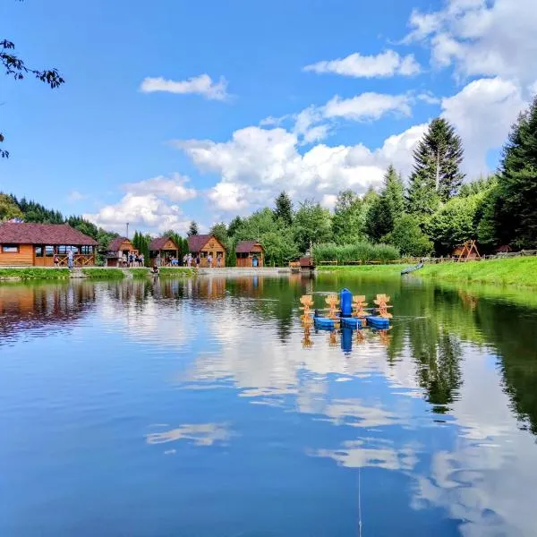 Відпочинково- оздоровчий комплекс ОПАКА з форельником, hotel v destinaci Schidnycja