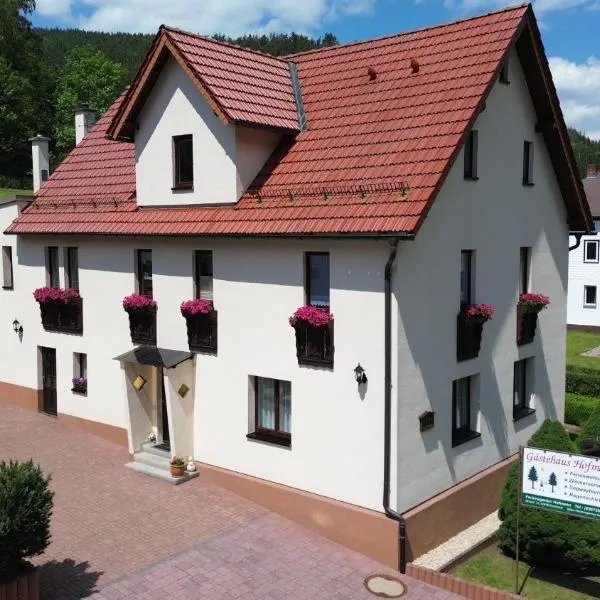 4 Sterne Ferienwohnung Sorbitztal inklusive Gästekarte, hotel in Rohrbach