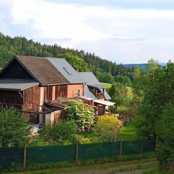 Koko Ryku, hotel en Nowa Ruda