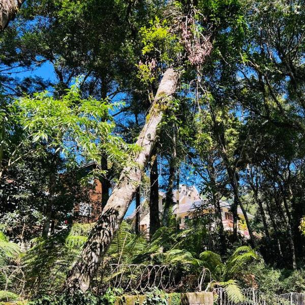 Apartamento Jardins de Gramado - Foto 5