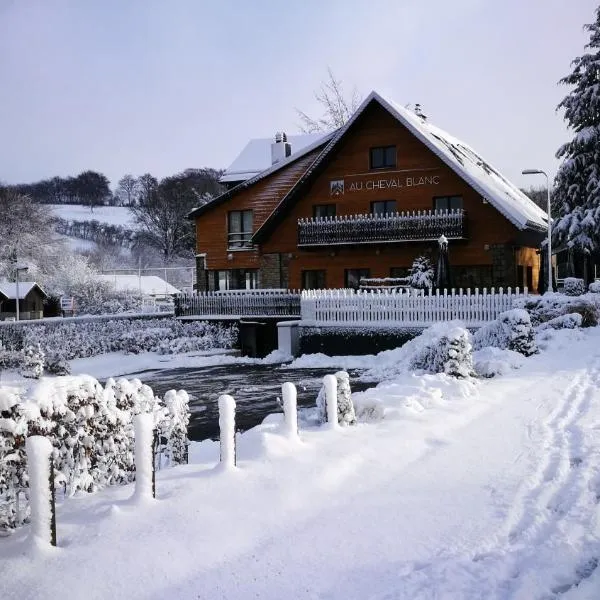 Au Cheval Blanc - Chalet de Montagne - 20 personnes, hotel v destinaci Waimes