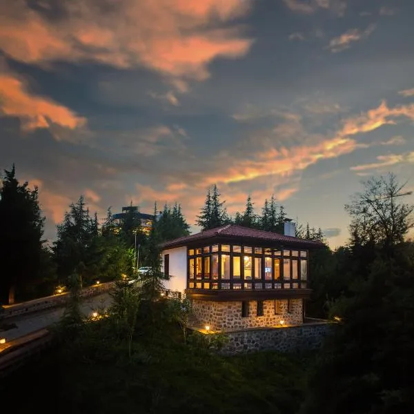 Akcatepe Dag Evleri, hotel v destinaci Akcaabat