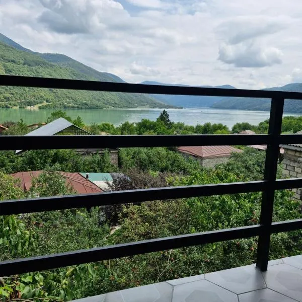 cozy house- Ananuri Veranda,Ananuri的飯店
