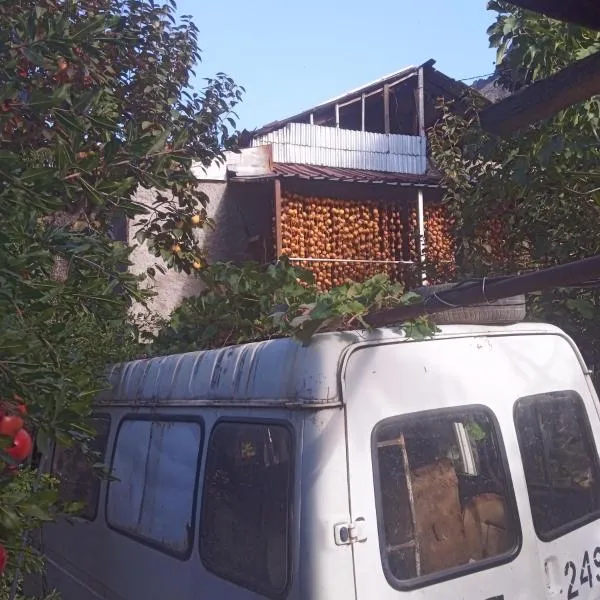 hostel Mrganush, hotel in Meghri